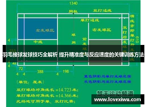 羽毛接球发球技巧全解析 提升精准度与反应速度的关键训练方法